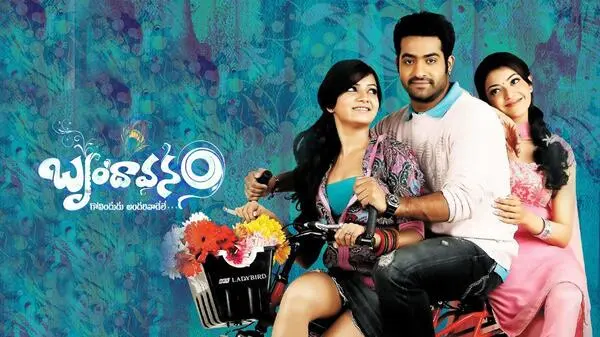 Stream Brindavanam (2010) Hindi ORG & Telugu Complete Movie