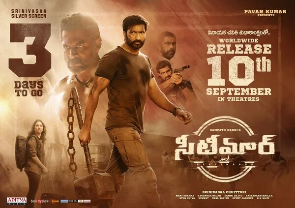 Seetimaarr 2021 Hindi ORG & Telugu