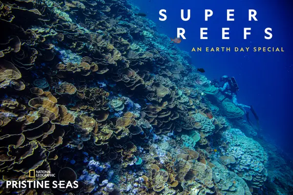 Super Reefs (2024) Hindi ORG & English JHS Movie Online