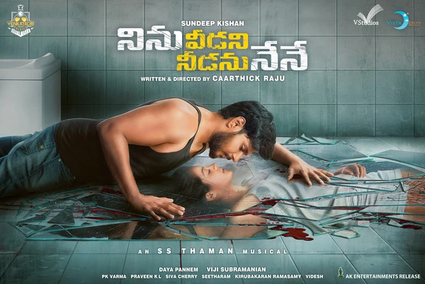 Ninu Veedani Needanu Nene (2019) Hindi ORG DD 5.1 & Tamil Complete Movie Stream